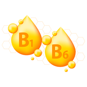 Vitaminas B1 y B6